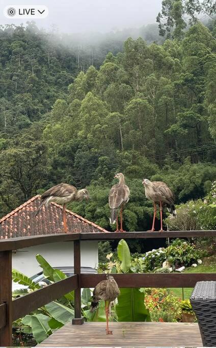 Sitio Com Piscina Natural E Cascata, Com Linda Vista Em Lumiar. Exterior photo